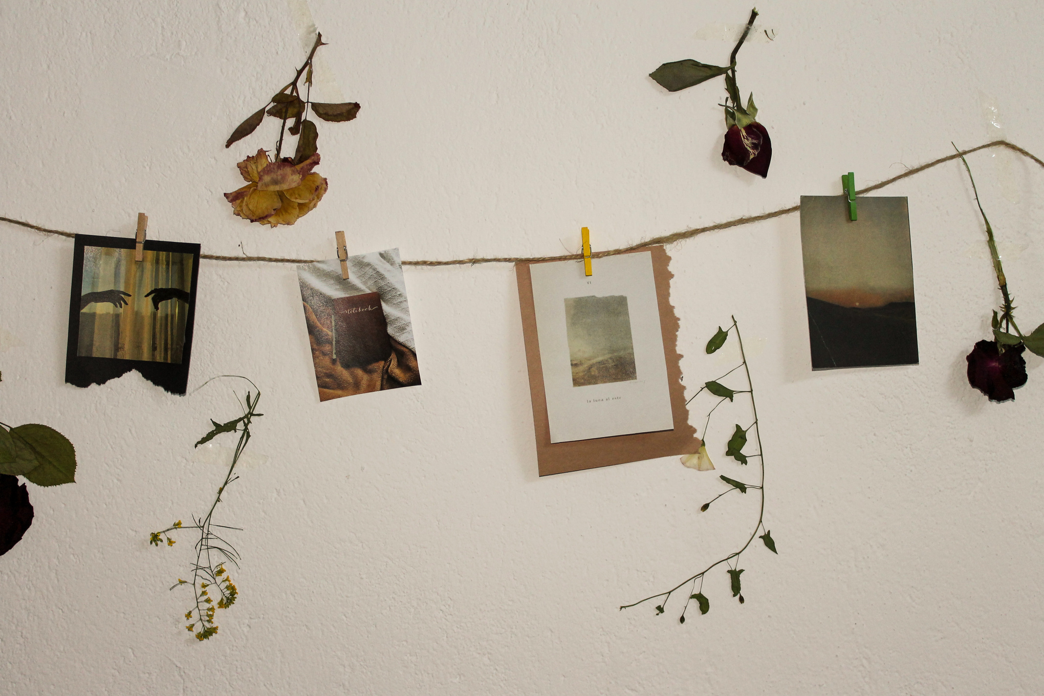 Hanging Photos on a Rope